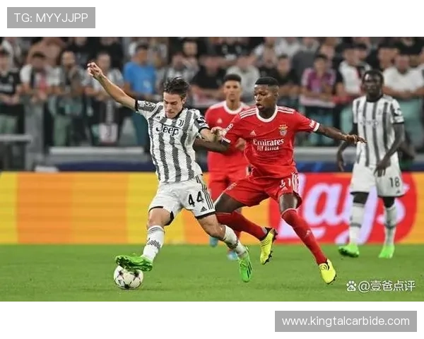 朴茨茅斯俱乐部的辉煌历史与挑战探索：从荣耀到复兴的足球之路