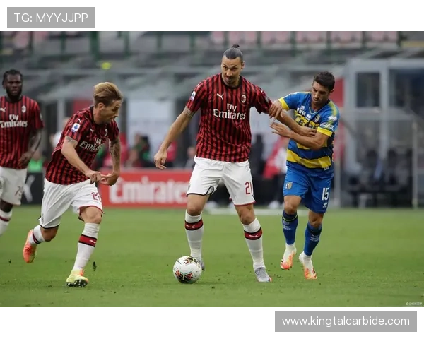 维罗纳足球俱乐部历史沿革与发展现状分析