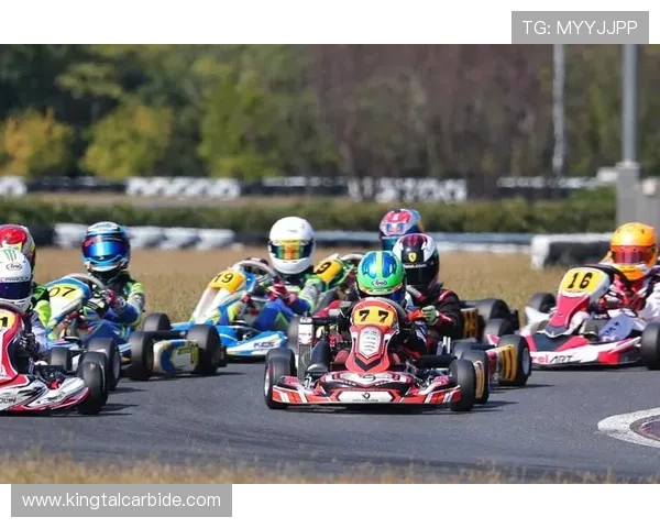 F1赛季激烈角逐迈向高潮 新星车手和老将斗智斗勇