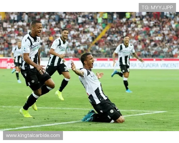 乌迪内斯新赛季战略调整引关注青年力量与战绩双提升管理层布局