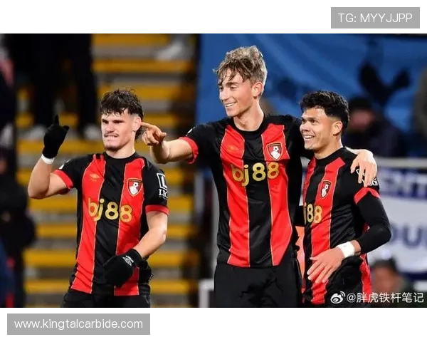 伯恩茅斯足球俱乐部崛起之路与英超竞争新格局解析发展战略与青训体系观察