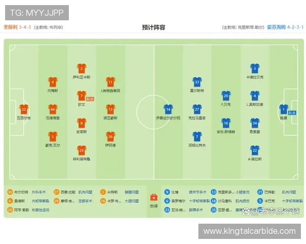 霍芬海姆1899俱乐部崛起历程与德甲足球发展深度解析